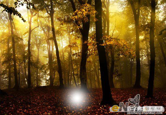 Photoshop使用HDR功能调制出阳光直射的梦幻森林场景5