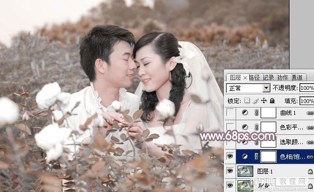 Photoshop为玫瑰园婚照调制出蓝紫中性色6