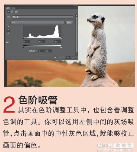 Photoshop CS6教你在JPEG文件格式下进行色彩校正4