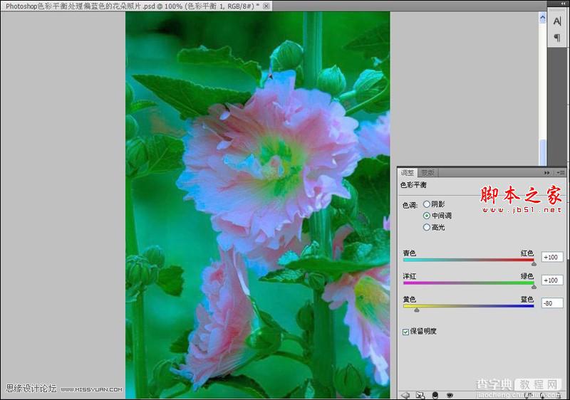 Photoshop使用色彩平衡和曲线工具为严重偏色的花朵照片较色3