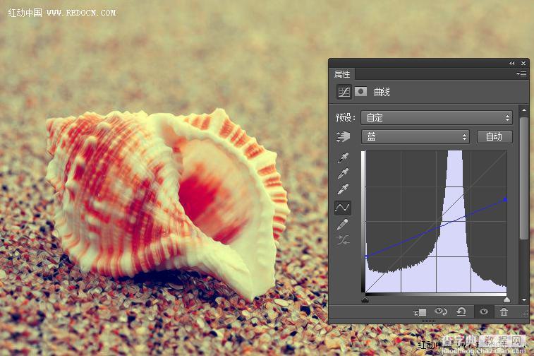 Photoshop调出诗意的沙滩贝壳16