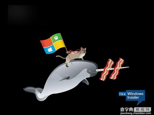 微软Win10 Insider壁纸下载：骑独角鲸、恐龙的忍者猫壁纸1