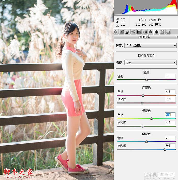 Photoshop将秋季芦苇边的美女图片增加上通透的甜美色6
