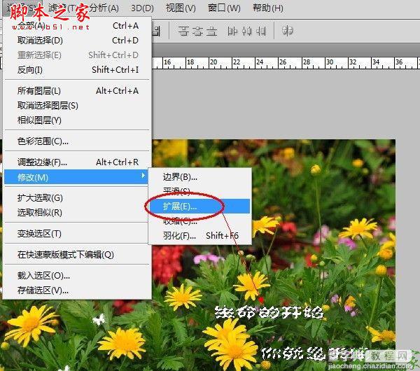 photoshop为宝宝写真照增加动态蝴蝶翅膀特效13