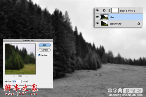 Photoshop为树林图片增加上淡灰色迷雾4