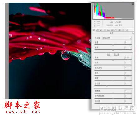 PS教你制造出花瓣上水滴透视效果2