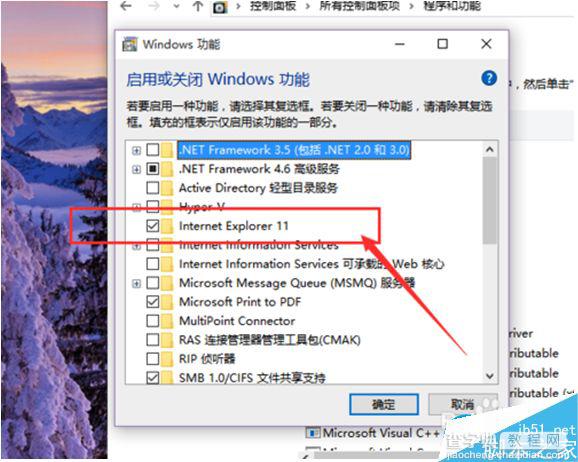 Win10系统怎么卸载IE浏览器？Win10系统卸载IE浏览器教程5