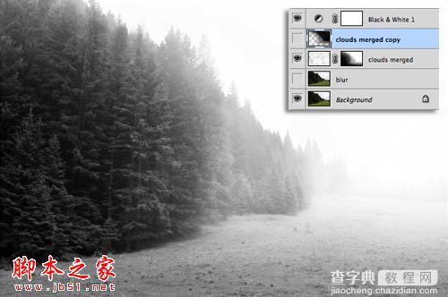 Photoshop为树林图片增加上淡灰色迷雾11