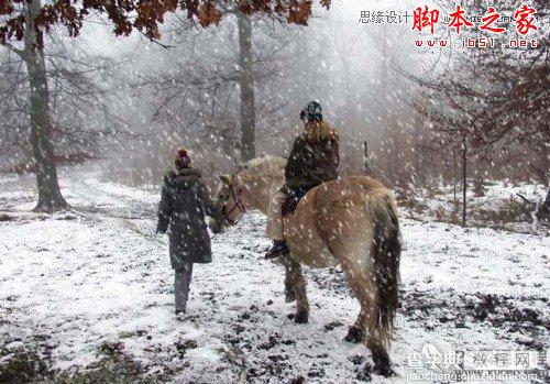 Photoshop使用滤镜模拟逼真的雪花飘飞场景2