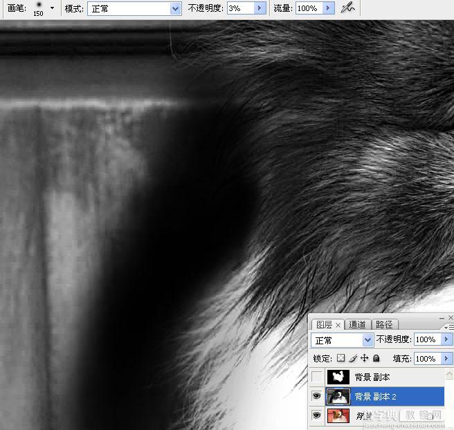 ps利用通道混合器及画笔抠出毛发较多的宠物狗33