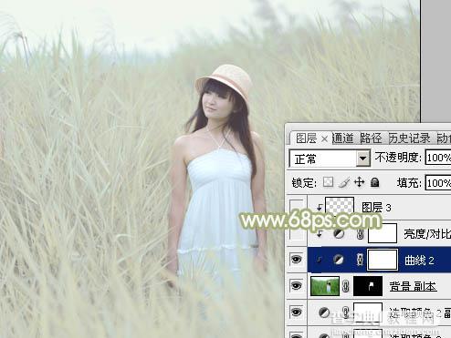 Photoshop将芦苇美女图片打造非常淡雅的冷色调25