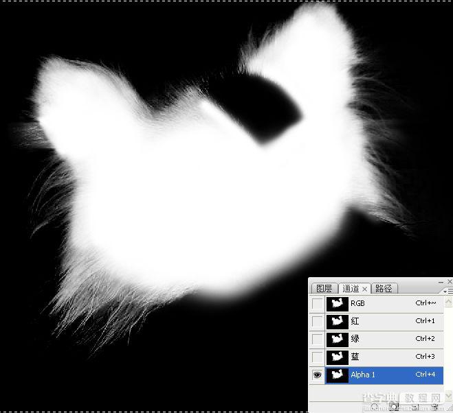 ps利用通道混合器及画笔抠出毛发较多的宠物狗28