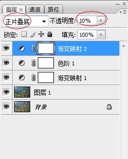 Photoshop为野花特写图片调制出清爽的阳光色10