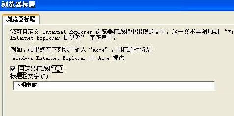 XP系统下给浏览器标题添加文字的方法4