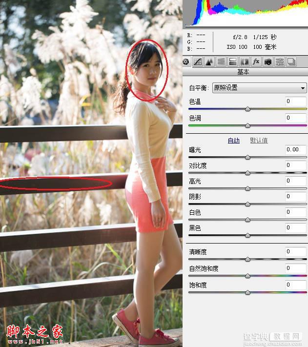 Photoshop将秋季芦苇边的美女图片增加上通透的甜美色3