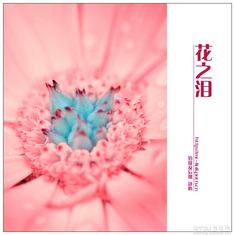 photoshop为夏日花朵摄影照片调制出唯美的色彩效果12