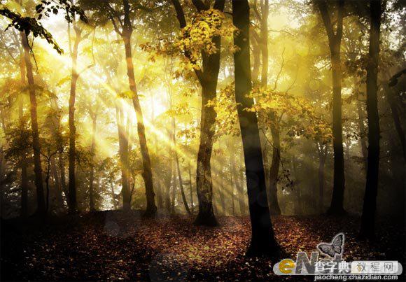 Photoshop使用HDR功能调制出阳光直射的梦幻森林场景15