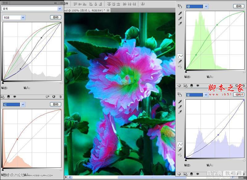 Photoshop使用色彩平衡和曲线工具为严重偏色的花朵照片较色8