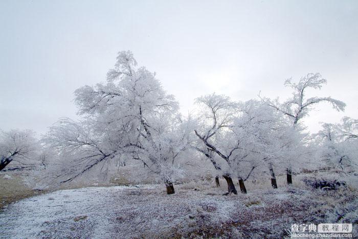 Photoshop将婚片打造出唯美的梦幻冬季雪景效果10