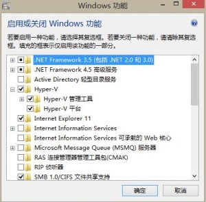 PowerShell查看Windows功能选项的方法1