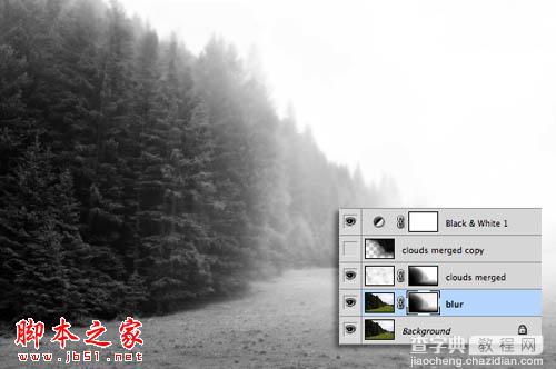 Photoshop为树林图片增加上淡灰色迷雾14