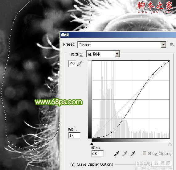 photoshop利用通道精确抠出背景稍微复杂的人物发丝16