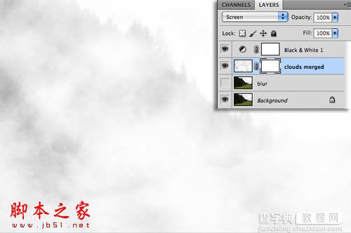 Photoshop为树林图片增加上淡灰色迷雾7