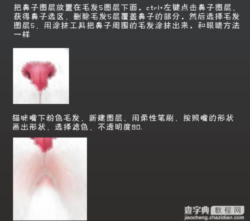 photoshop鼠绘神态憨厚的小白猫头像效果18