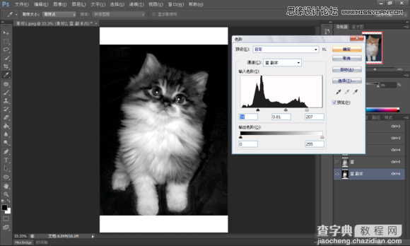 使用Photoshop合成创意的星空装饰的猫咪图片5
