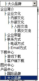 asp.net IList查询数据后格式化数据再绑定控件2