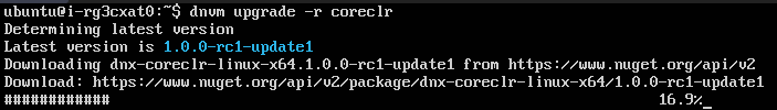 云服务器下搭建ASP.NET Core环境8