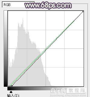 Photoshop使用调色与渲染工具打造出梦幻的绿紫色水景人物图片40