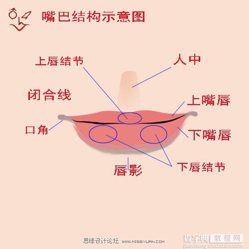 Photoshop 讲解鼠绘人物五官的画法16