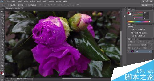 photoshop将花变得更多颜色11