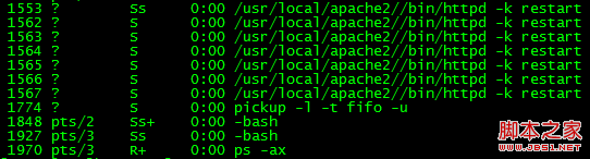 php的POSIX 函数以及进程测试的深入分析2