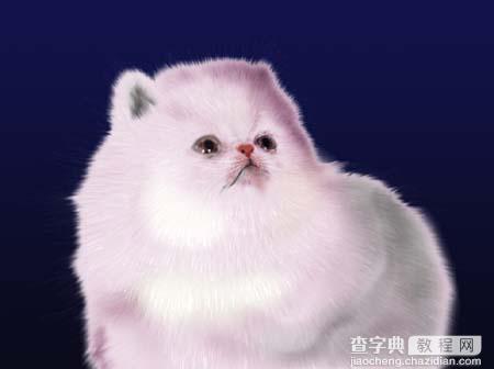 Photoshop鼠绘教程:可爱猫咪图9