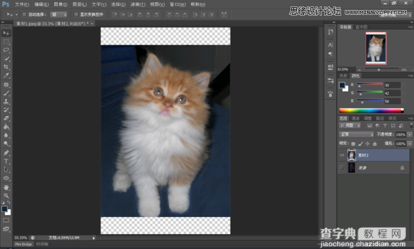 使用Photoshop合成创意的星空装饰的猫咪图片3