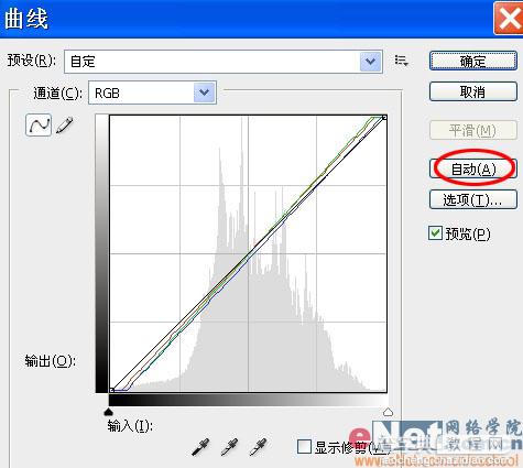 Photoshop教程:制作有趣的小鸟动画3