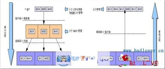 MySQL乱码问题终极指南7