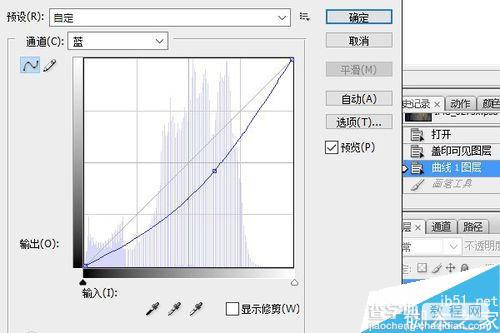 PS调整图层将照片调出夜色效果6