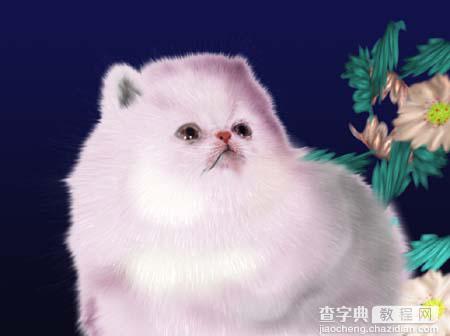 Photoshop鼠绘教程:可爱猫咪图10