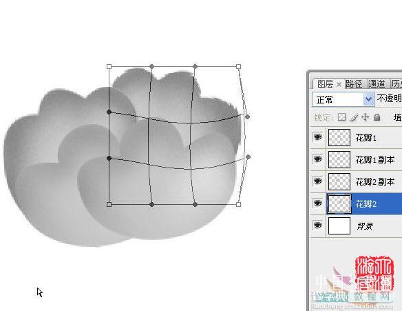 Photoshop教程:牡丹花的手绘7