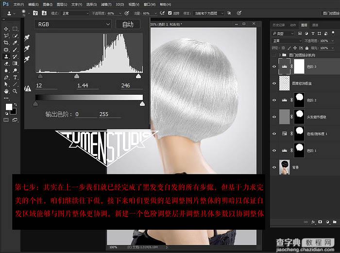 Photoshop利用色相饱和度快速把黑发变成高质感白发9