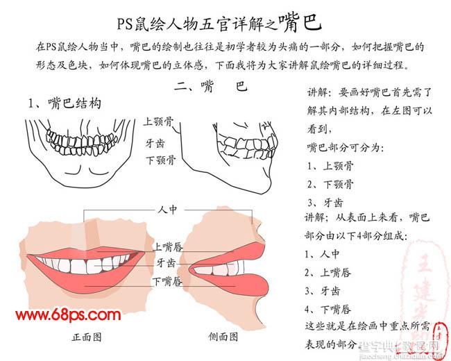 photoshop 鼠绘逼真的人物嘴巴2