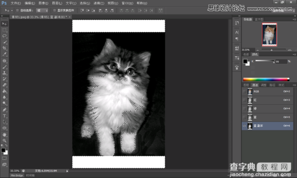 使用Photoshop合成创意的星空装饰的猫咪图片6
