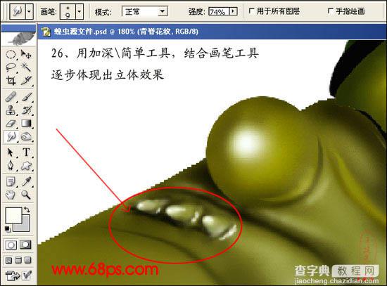 photoshop 鼠绘超真实的蝗虫28