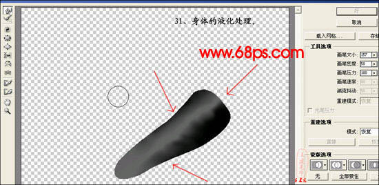 photoshop 鼠绘超真实的蝗虫33