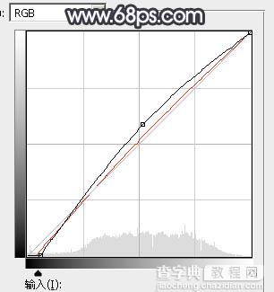 Photoshop使用图层样式打造唯美的古典淡蓝色树林人物图片19