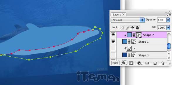 Photoshop将真实海豚照片制作成可爱的卡通海豚图片7