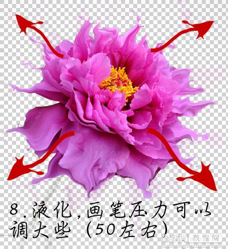 Photoshop打造动感的流体飞溅艺术花朵造型12